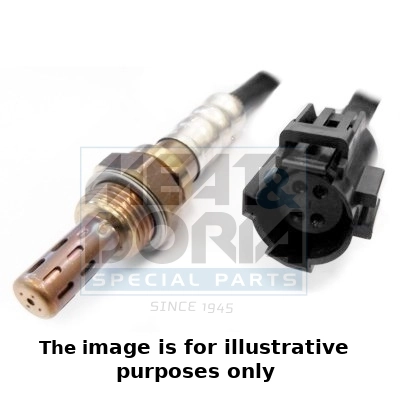 Oxygen Sensor